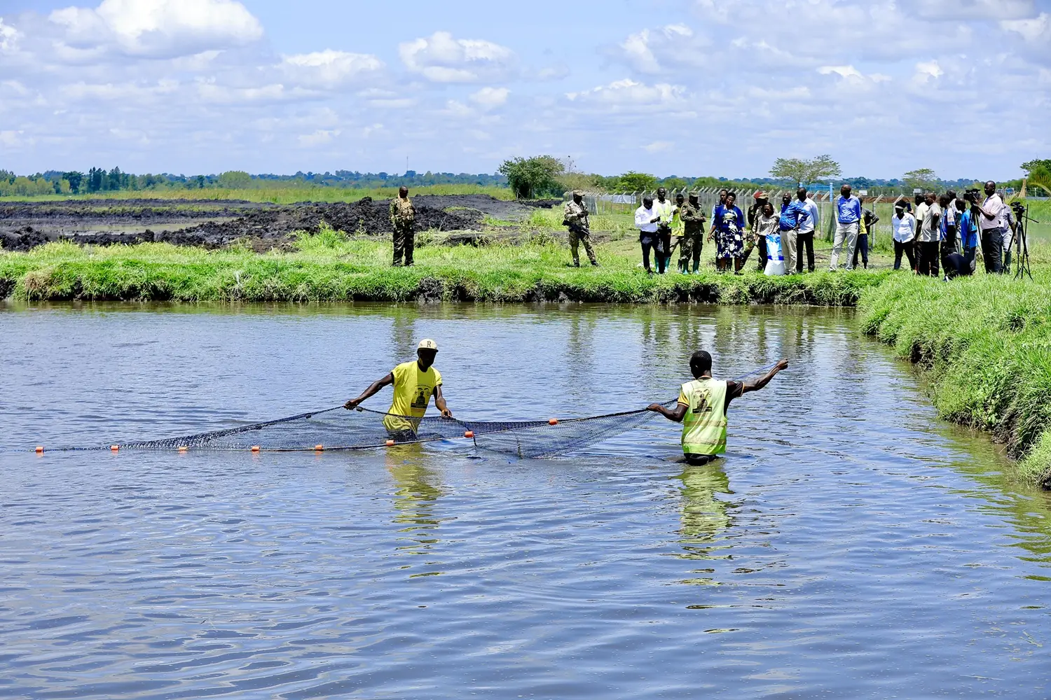 President Museveni's Fish Farming Drive Praised As Bold Solution To Poverty And Wetland Degradation In Pallisa
